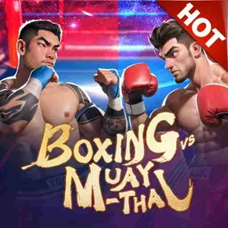 Boxing VS Muay Thai